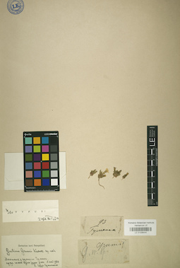 LE 01036444
