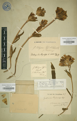 LE 01036449