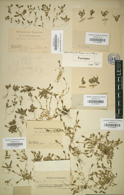 LE 01036456