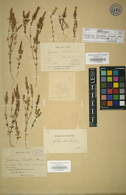 LE 01036463