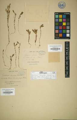 LE 01036464
