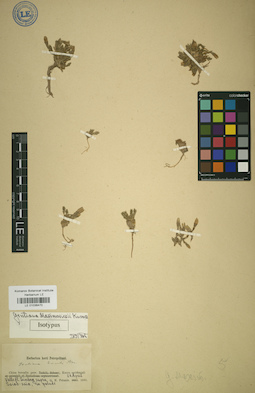 LE 01036470