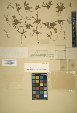 LE 01036471