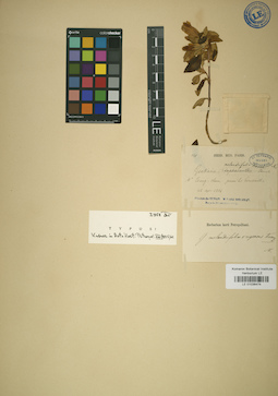 LE 01036474
