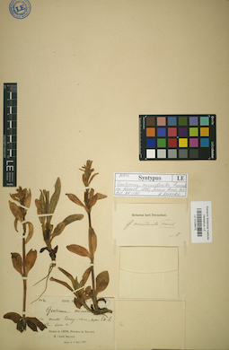 LE 01036475