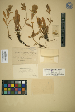LE 01036480