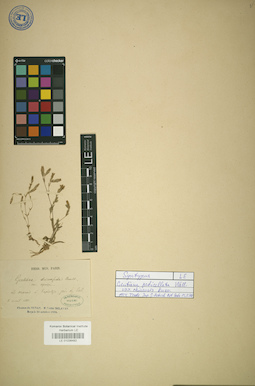LE 01036482