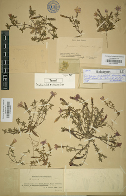 LE 01036485