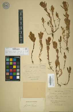 LE 01036486