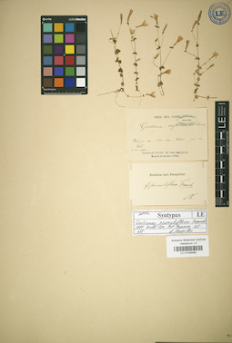 LE 01036488