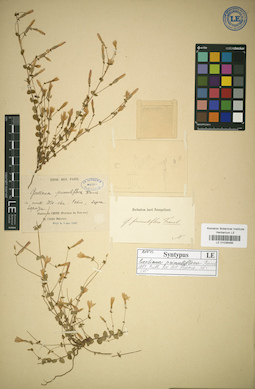 LE 01036489