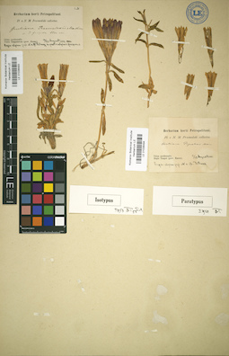 LE 01036493