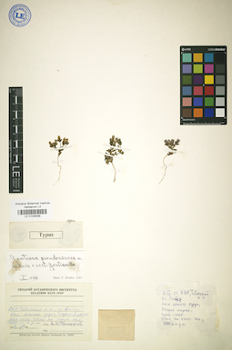 LE 01036498