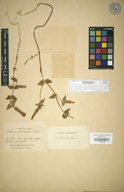 LE 01036499