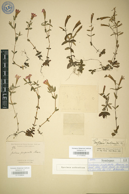 LE 01036505