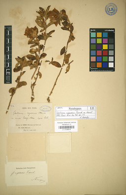 LE 01036516