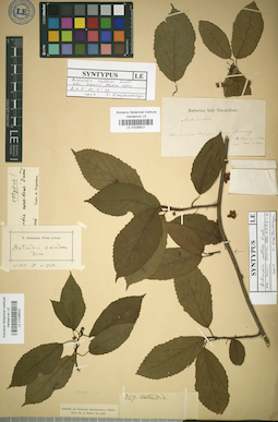 LE 01036522