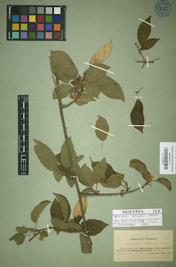 LE 01036537