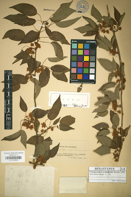 LE 01036539