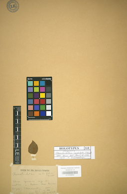 LE 01036540
