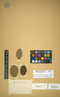 LE 01036549