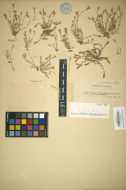 LE 01036579