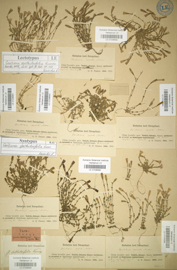 LE 01036583