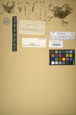 LE 01036587