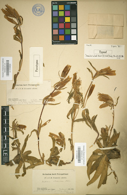 LE 01036590