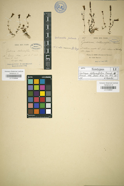 LE 01036597
