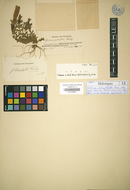 LE 01036601