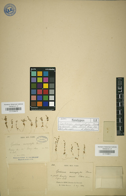 LE 01036611