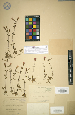 LE 01036612