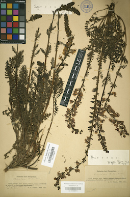 LE 01036614