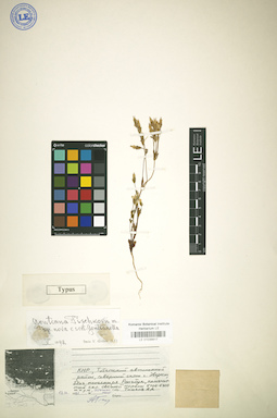 LE 01036617