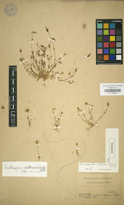 LE 01036634