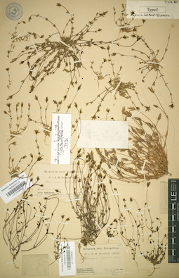 LE 01036636