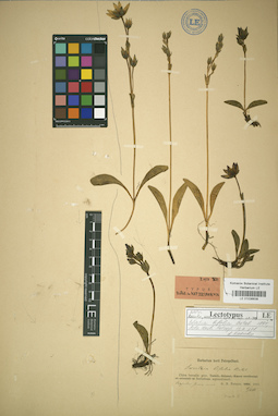LE 01036638