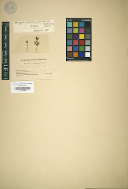 LE 01036641