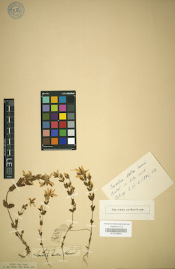 LE 01036652