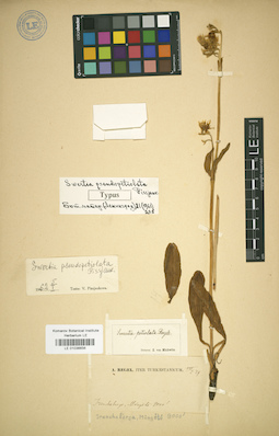 LE 01036656