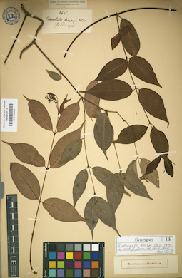 LE 01036662