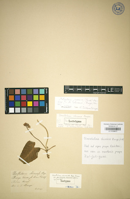 LE 01036672