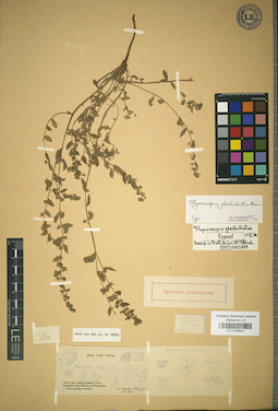 LE 01036937