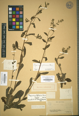LE 01036939