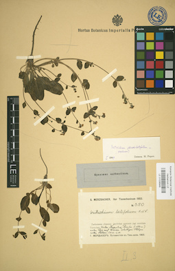 LE 01036949
