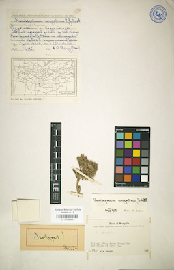 LE 01036955