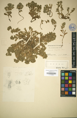 LE 01036960