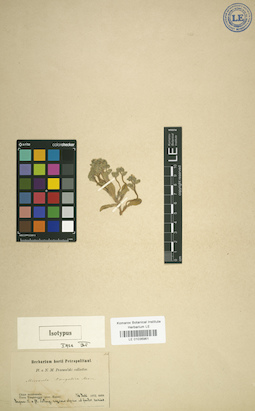 LE 01036961