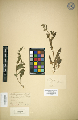 LE 01036966